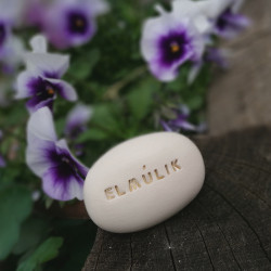 Varázskavics - ELMÚLIK 