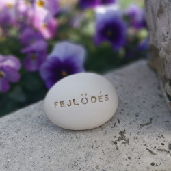 Varázskavics - FEJLŐDÉS